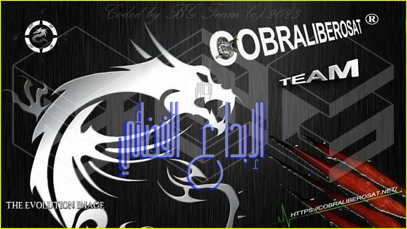 CoBrAliBeRoSat Team Image For VU _05.03.2023