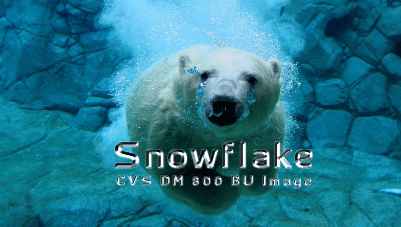 Snowflake CVS BU Image for DM800HD V1.00