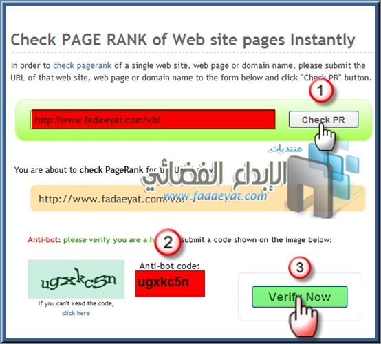     -    -     - Check Page Rank of Web site pages