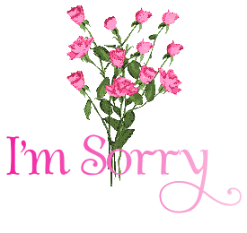    I'm sorry ,    Apology  