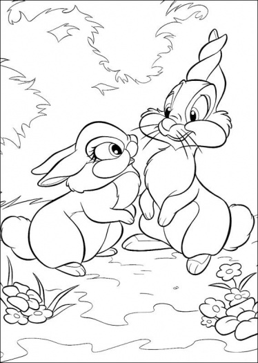      Rabbits Coloring