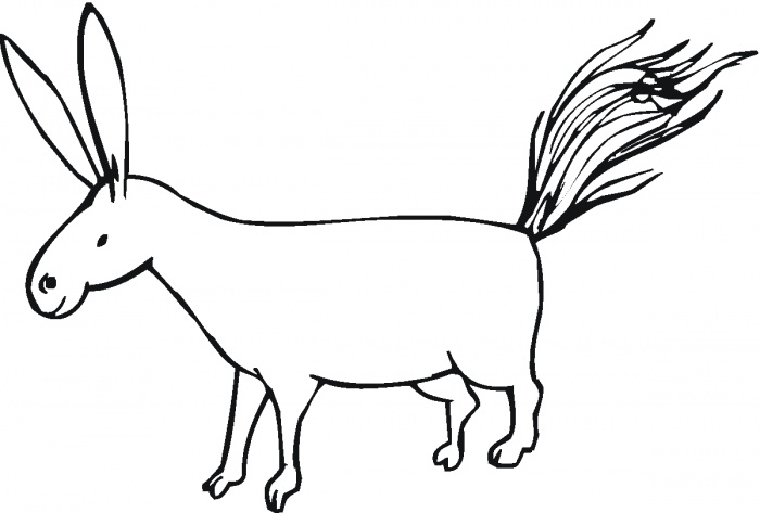    ,      Donkey Coloring