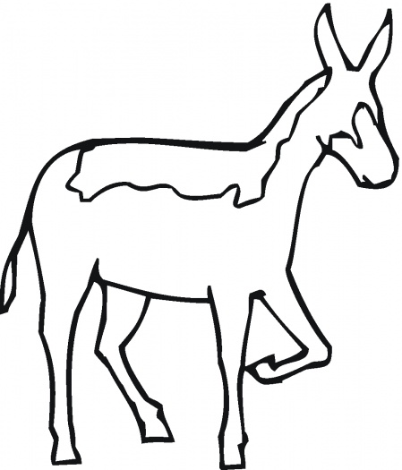    ,      Donkey Coloring
