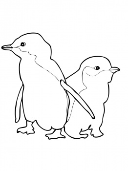       Penguin Coloring