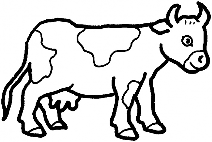    ,      Cow Coloring