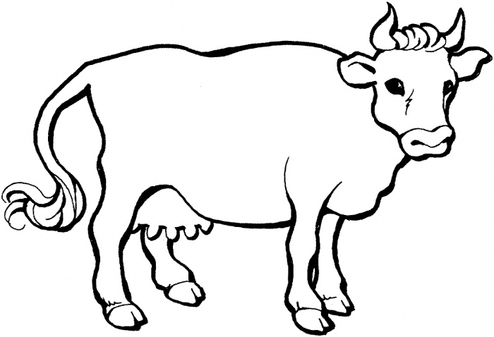    ,      Cow Coloring