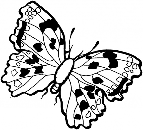    ,      Butterflies Coloring