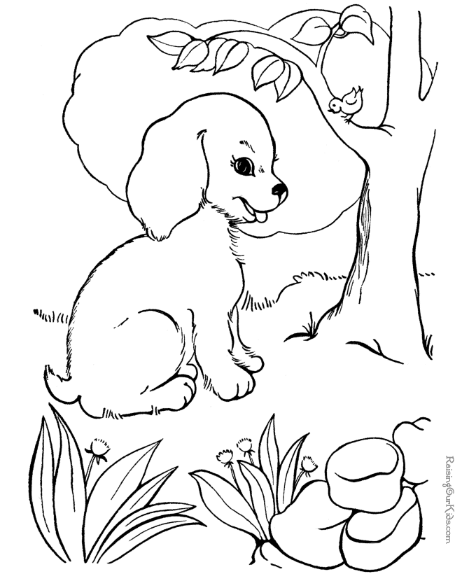       Dogs Coloring
