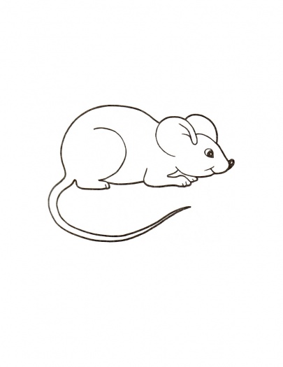      Mouses Coloring