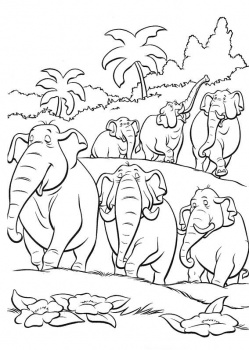    ,      Elephants Coloring
