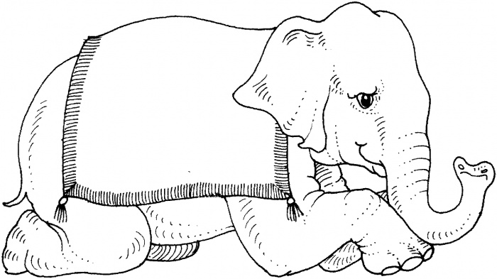    ,      Elephants Coloring