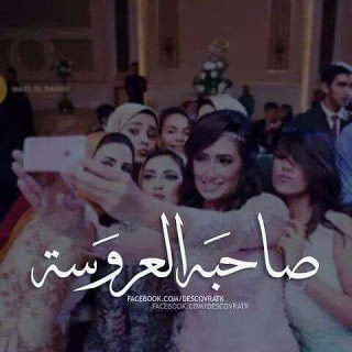 شتاوي ع العروسه - Makusia Images