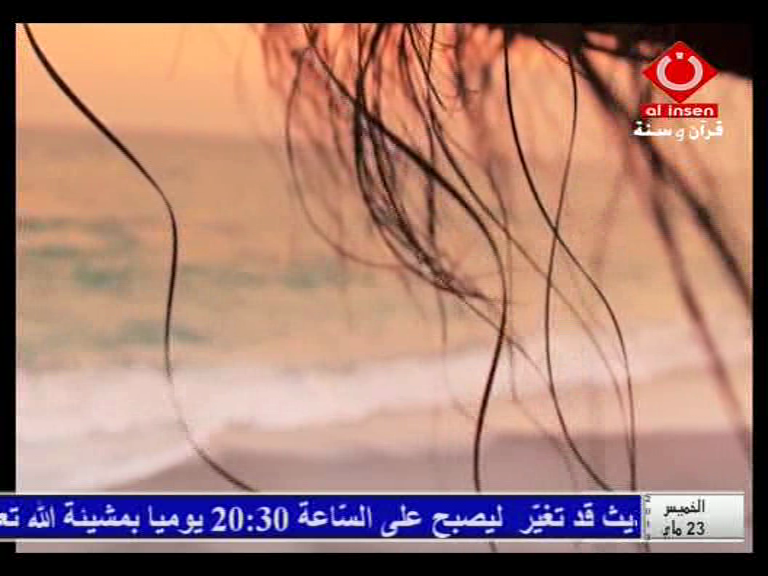 القنوات التونسية على قمر نايل سات Nilesat والقمر عرب سات بدر Badr 4