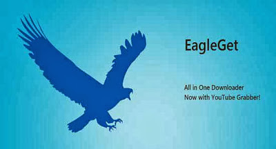   EagleGet v1.1.0.7         2014