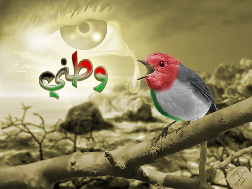 خلفيات علم فلسطين , صور متحركة لعلم فلسطين ,Palestine