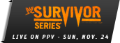        2013 ,Survivor Series
