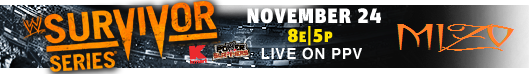 Channels that broadcast wrestling festival Survivor series Sunday, November 24 , 2013
