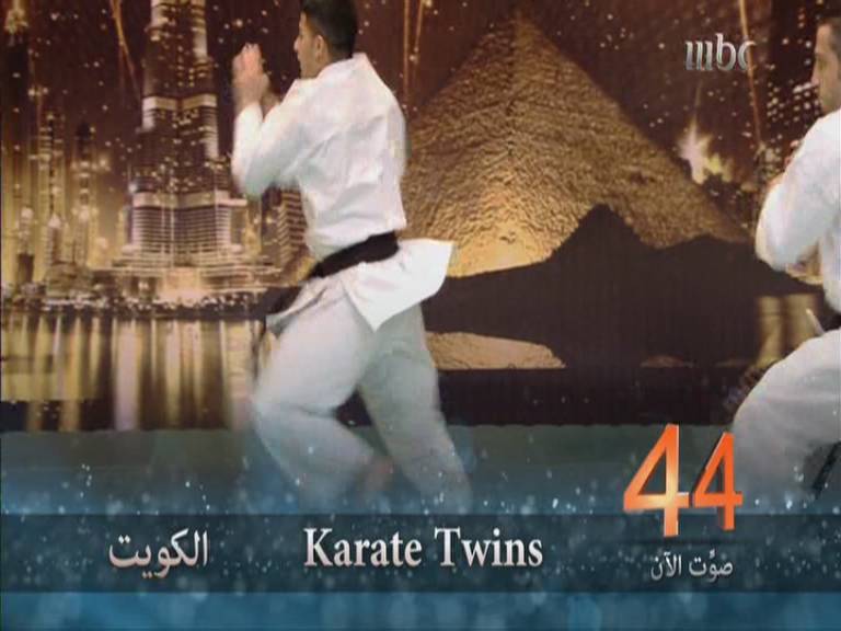      - Karate Twins -        23-11-2013