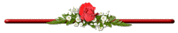   ,    , Carnations