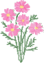    ,     Jasmine flowers