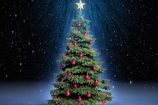   christmas tree   2019 ,       2019