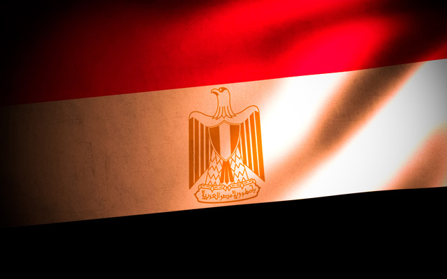    2014 ,     2014 , Egyptian flag