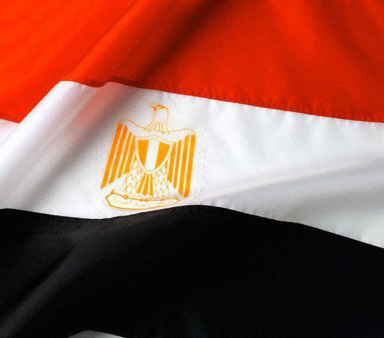    2014 ,     2014 , Egyptian flag
