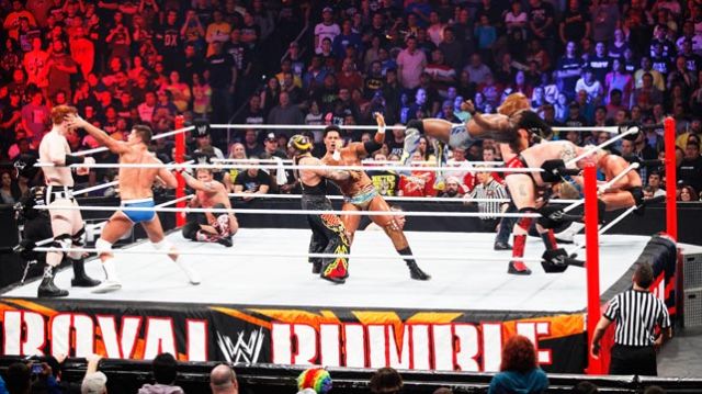      2014 ,     WWE Royal Rumble2014