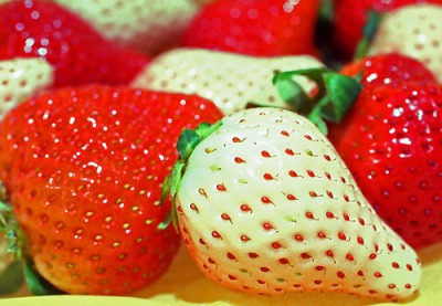  ,   , Strawberries