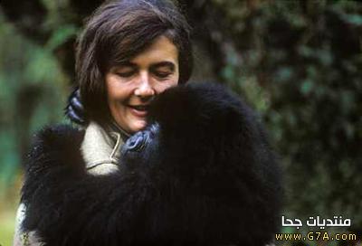             Dian Fossey