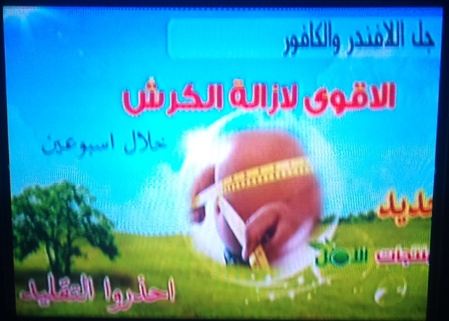 قناة الأمل مكان قناة abu alfeda TV