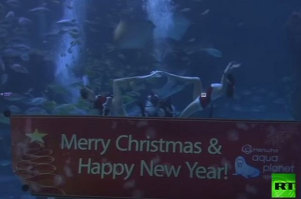 فيديو غطاسون ثلاثة في ملابس بابا نويل يسبحون في حوض أسماك كوري جنوبي
