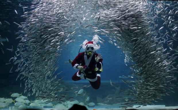 صور بابا نويل سانتا كلوز في جميع مدن العالم اكثر من 50 صورة يقدم الهدايا للاطفال