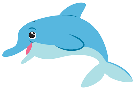   dolphin ,    