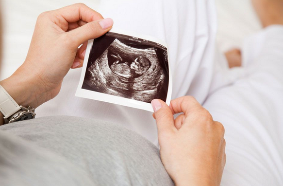 شكل الجنين فى الشهر الأول  , الحمل في الشهر 1